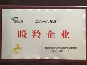 武汉J9九游会光电入选光谷2016年“瞪羚企业”