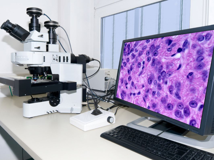 声光可调谐滤波器如何增强共聚焦显微镜的多功能性